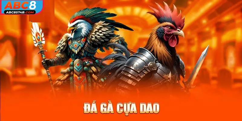 đá gà cựa dao abc8